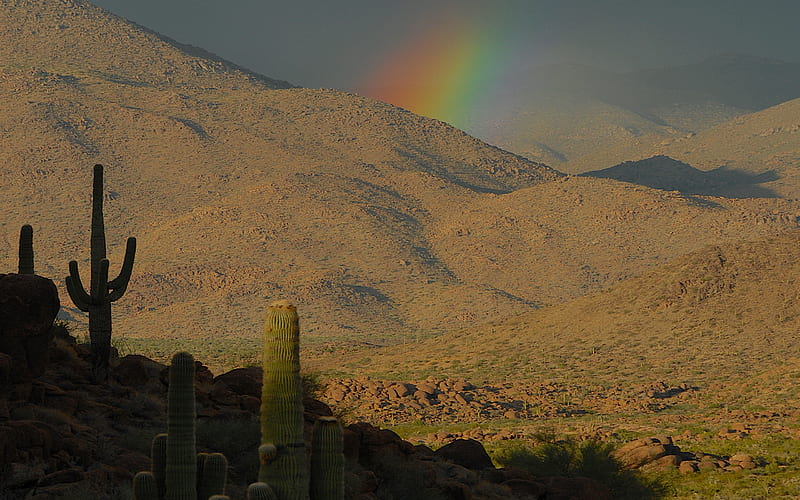 Old West, desert, saguaro, mountains, rainbow, cactus, HD wallpaper