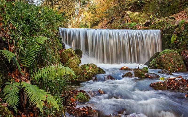 waterfall, mountain river, forest, autumn, wooden hut, fern, beautiful waterfall, HD wallpaper