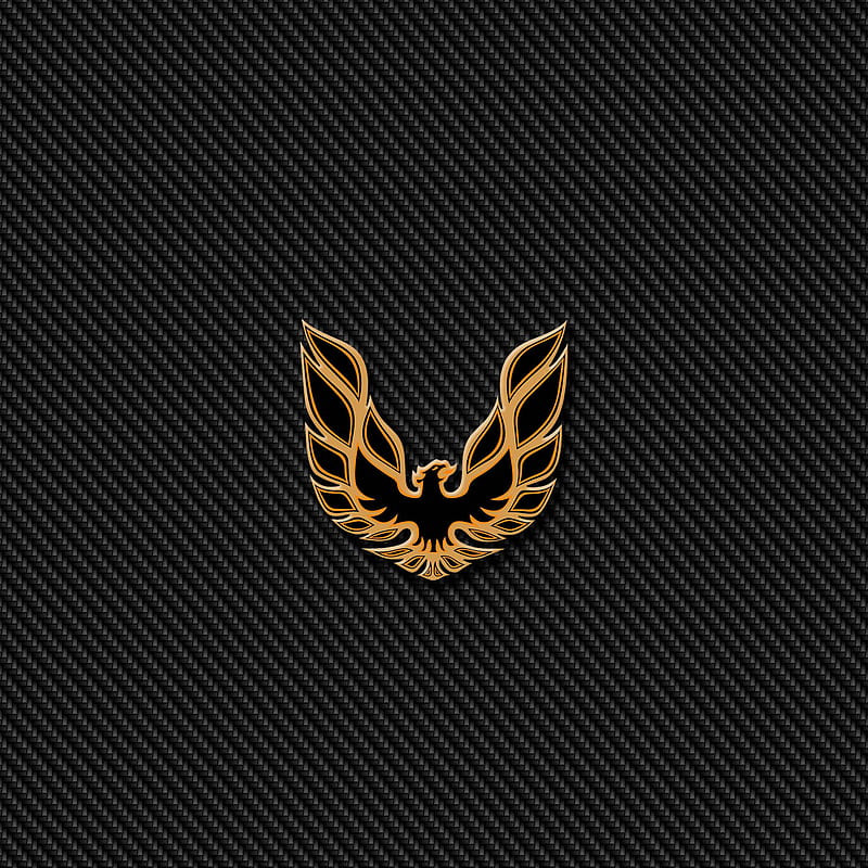 Trans Am Carbon, badge, emblem, firebird, logo, pontiac, trans am, HD phone wallpaper