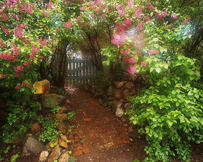 Garden pathway, stones, sunlight, greenery, flowers, path, wooden gate, mailbox, HD wallpaper
