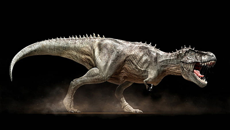 Tyrannosaurus Rex, carnivore, predator, great, dinosaur, HD wallpaper