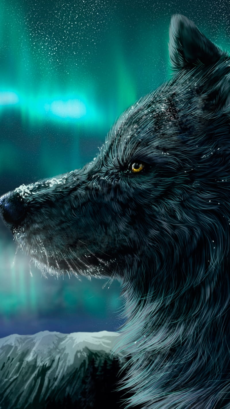 Nocturnal Wolf, animal, night, sky, stars, HD phone wallpaper