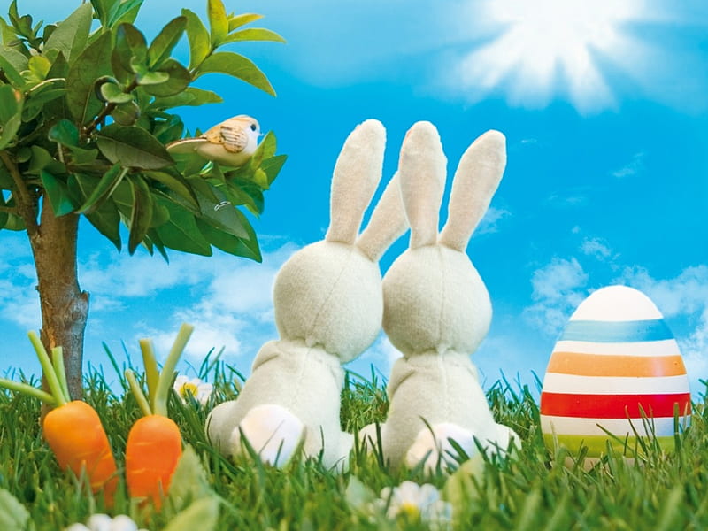Easter Bunny, happy easter, occasions, HD wallpaper