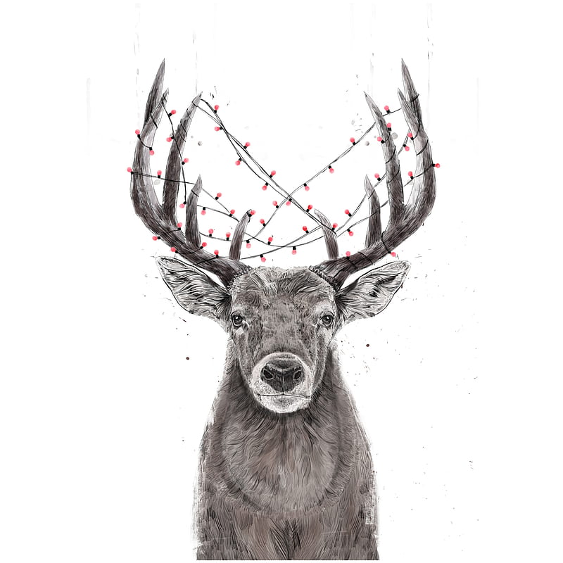 Xmas deer , Balazs, animals, christmas, christmas lights, christmas tree, drawing, funny, humor, reindeer, winter, HD phone wallpaper