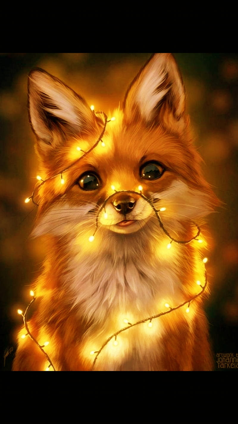 Light fox, fox, lights, warm, HD phone wallpaper