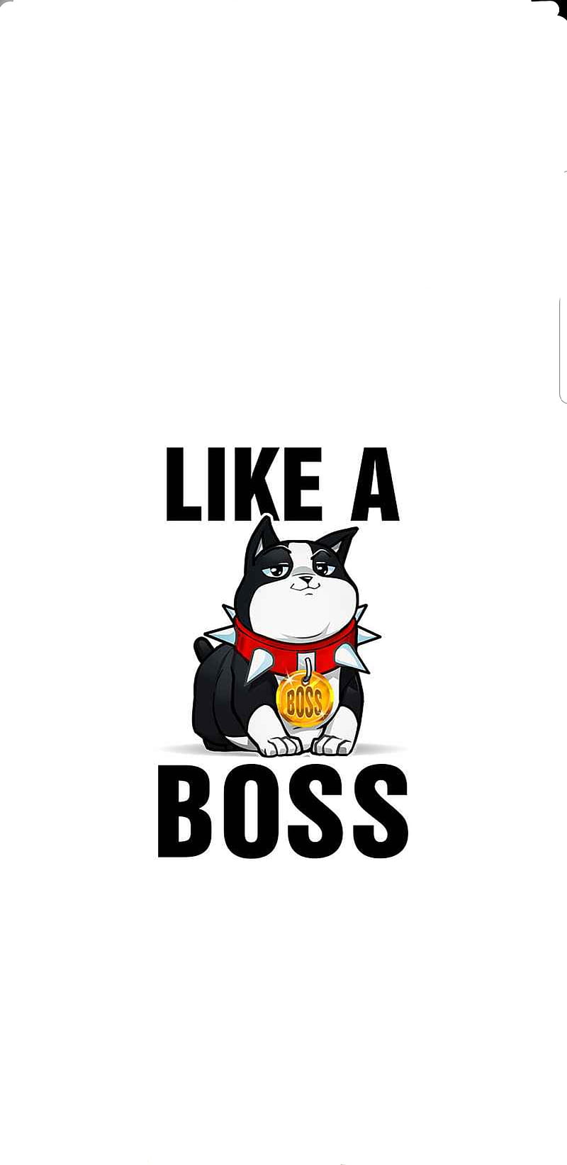 Like A Boss Dogo, a boss, funny, HD phone wallpaper