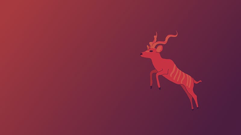 Ubuntu Kinetic Kudu 22.10, HD wallpaper