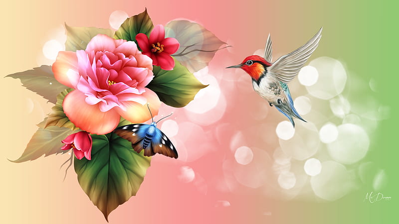 Bright Flowers and Hummingbird, bokeh, summer, flowers, blossoms, hummingbird, spring, blooms, Firefox theme, fragrant, peony, HD wallpaper