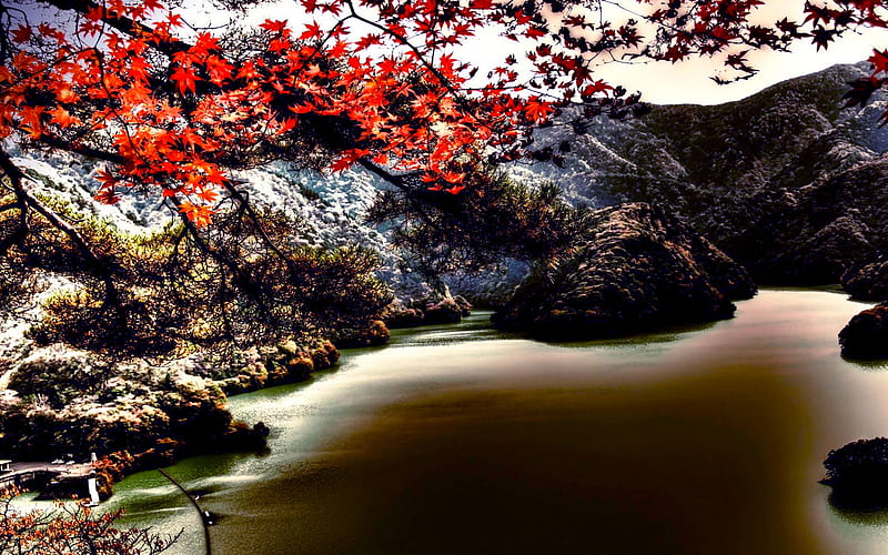 MOUNTAIN RIVER- R, mountain, autumn, maple, river, r, HD wallpaper