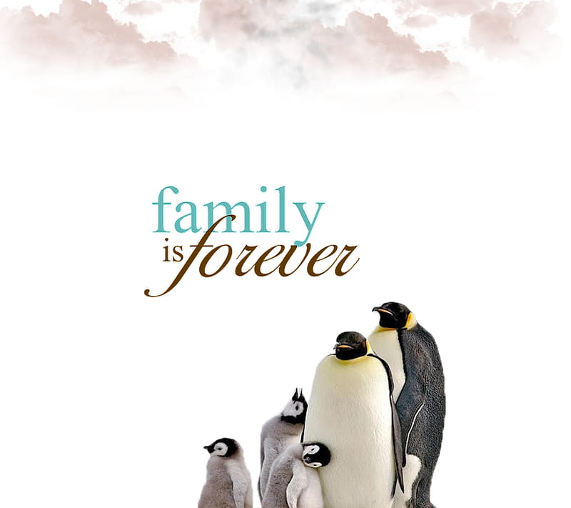 Family forever, love, penguins, HD wallpaper