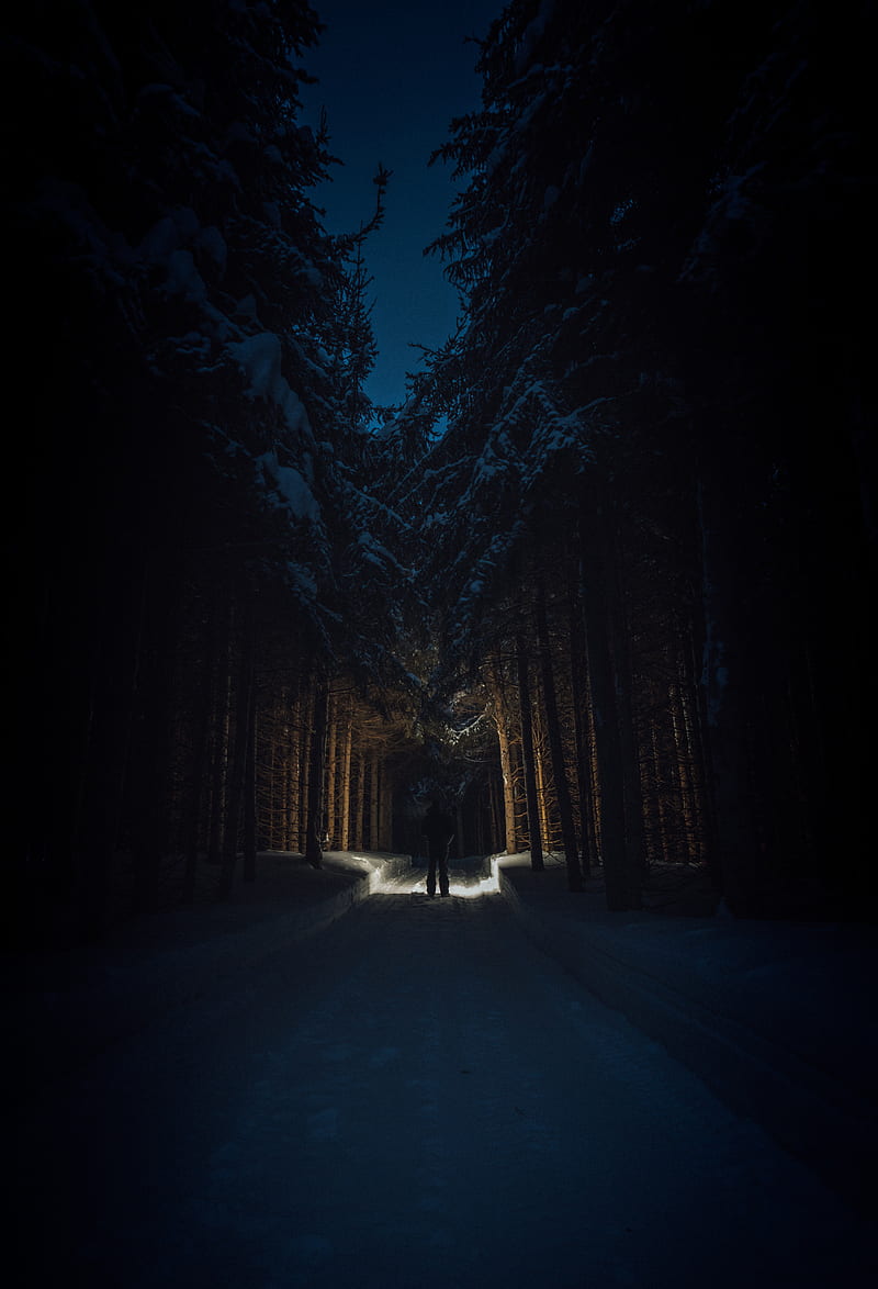 silhouette, forest, road, snow, trees, HD phone wallpaper