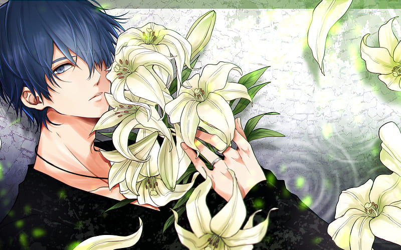 Kaito, white flowers, Shoujo, manga, artwork, Vocaloid, HD wallpaper