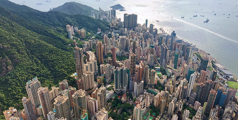 Hong Kong bay, hills, forest, oceans, cityscape, buildings, landscape, HD wallpaper