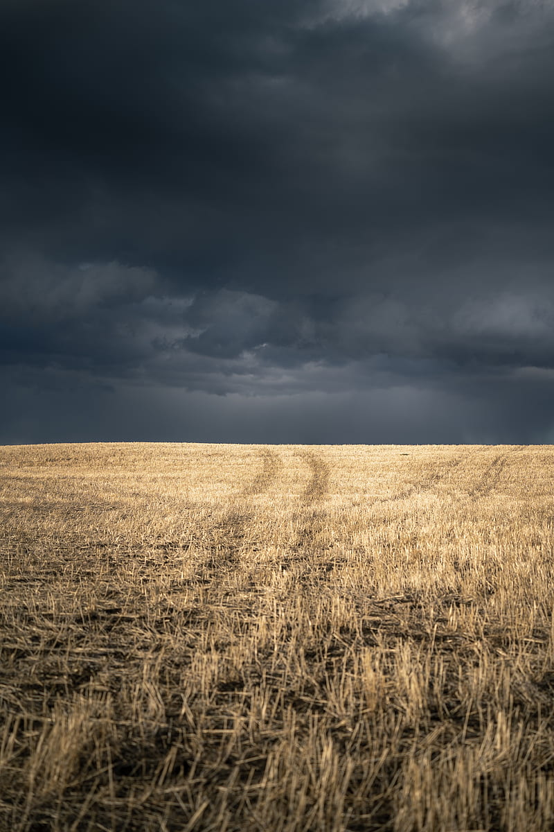 field, grass, dry, clouds, landscape, HD phone wallpaper