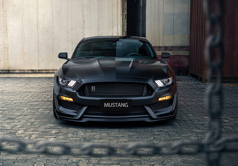Mustang Gt 350 Blue Carros Ford Gt 350 Gt350 Shelby White Hd Mobile Wallpaper Peakpx