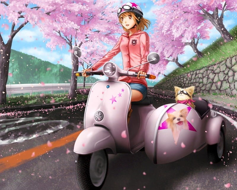 Scooter Ride, mototbike, sakura blossom, floral, cherry blossom, motorcycle, blossom, helmet, anime, hot, bike, anime girl, pink, dog, puppy, sakura, scooter, female, sexy, cute, girl, ride, flower, petals, HD wallpaper