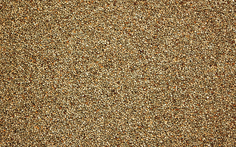 buckwheat textures food textures, buckwheat, cereals, groats textures, macro, buckwheat backgrounds, HD wallpaper