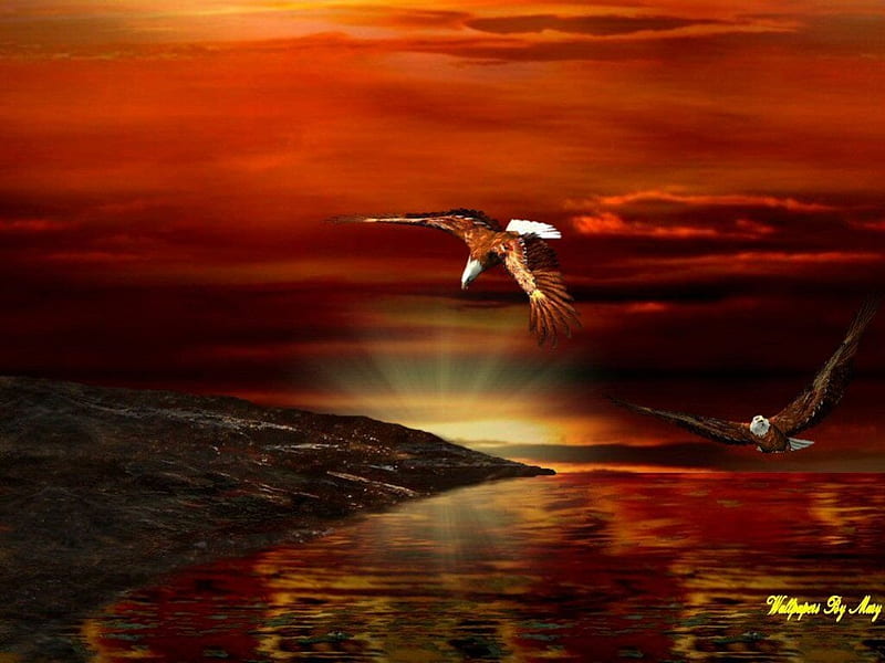 Fire Night, eagles, birds, lakes, sunsets, HD wallpaper