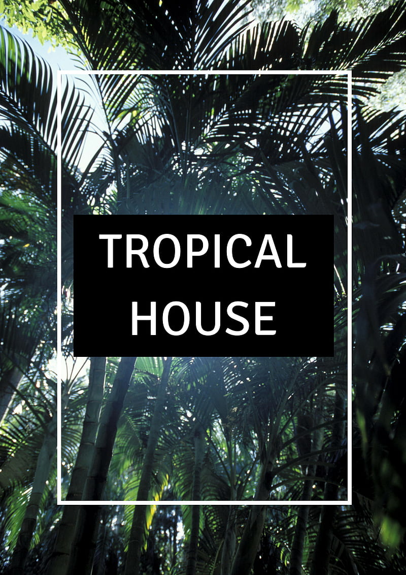 TROPICAL HOUSE, nature, palmas, palms, plants, plants, stranger, tumblr, HD phone wallpaper