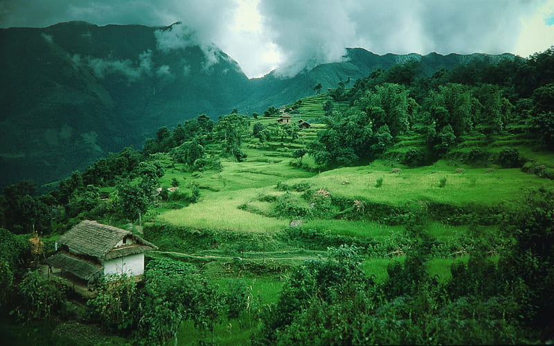 Green village, beautiful view, landscape, beautiful village, HD wallpaper |  Peakpx
