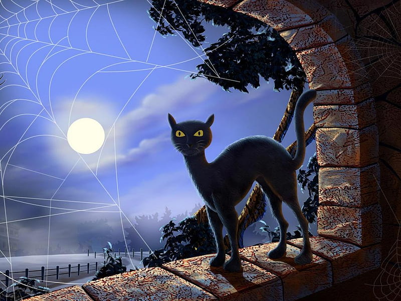 October 31, moon, holiday, halloween, cat, abstract, HD wallpaper