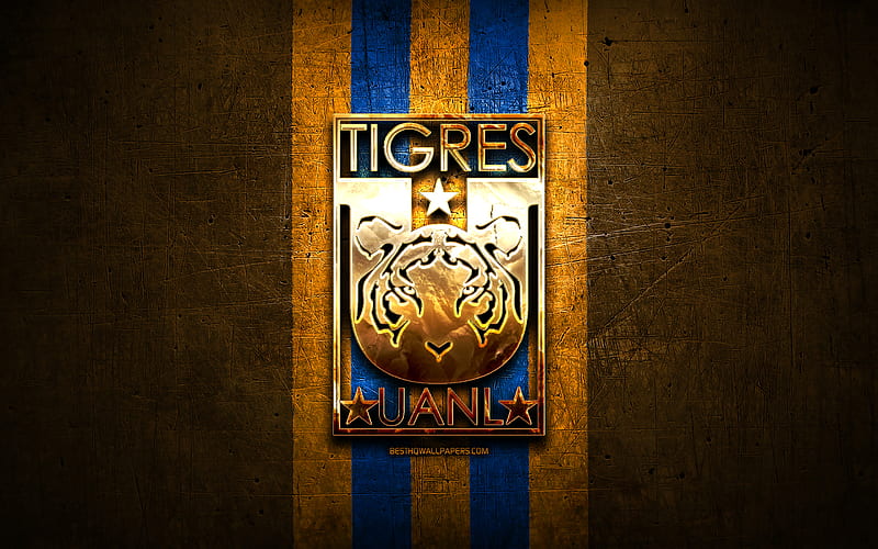 Tigres UANL, Mexican football club, Liga MX, orange logo, orange carbon  fiber background, HD wallpaper | Peakpx