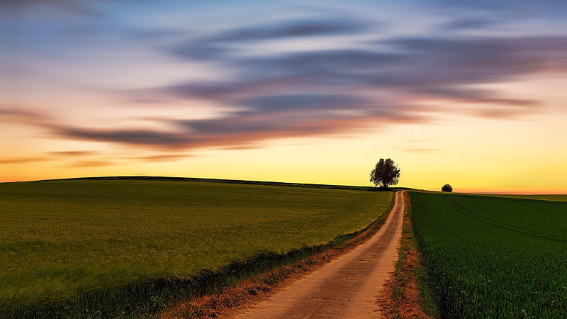 Man Made, Path, Cloud, Field, Sky, Sunset, HD wallpaper