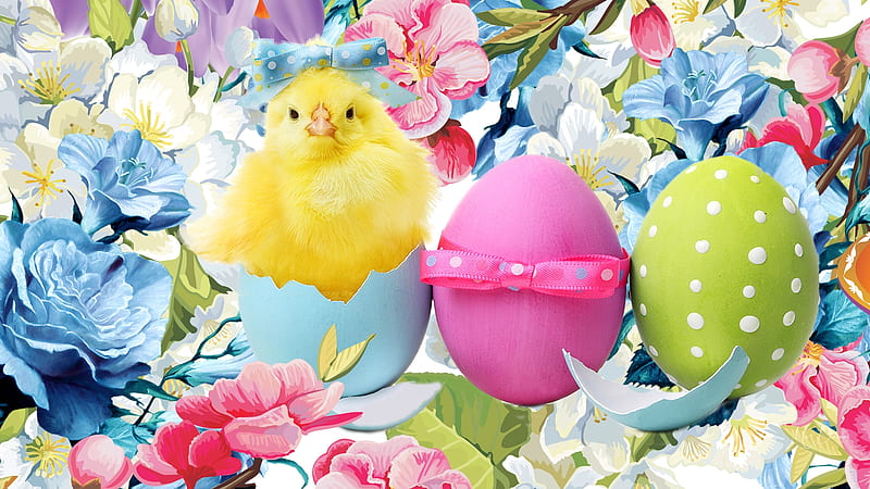 Easter Chick & Flowers, chicken, spring, pastels, ribbons, bows, chick, floral, Easter, eggs, flowers, Firefox Persona theme, HD wallpaper