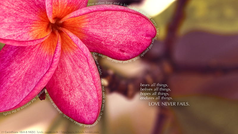 Love Never Fails Wallpaper - Sarah Titus