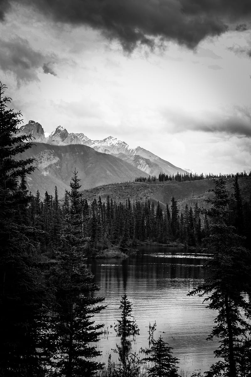 Moody Mountains, alberta, black, black and white, canada, forest, jasper national park, mountain, nature, trees, white, HD phone wallpaper