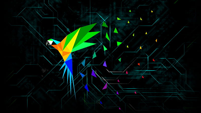 HD wallpaper parrot parrot security hacking Linux Debian  Wallpaper  Flare