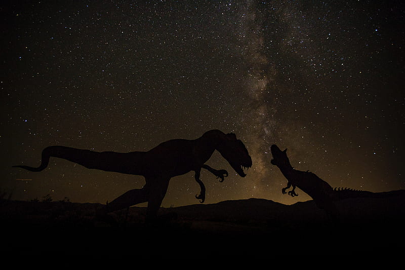 dinosaurs, space, starry sky, dark, HD wallpaper