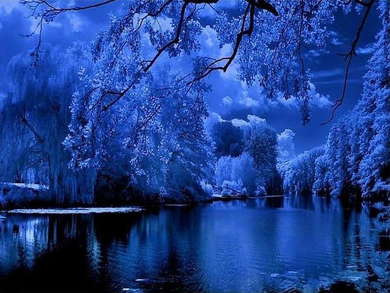 Blue Scenery, blue , tree, bonito, blue sky, scenery, lake, blue, night, HD wallpaper