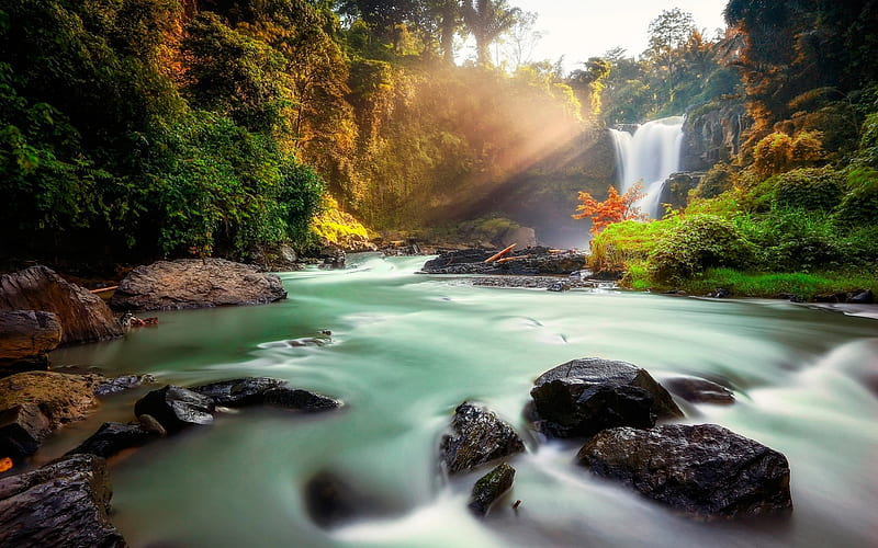 waterfall, forest, river, jungle, Tegenungan, Indonesia, HD wallpaper
