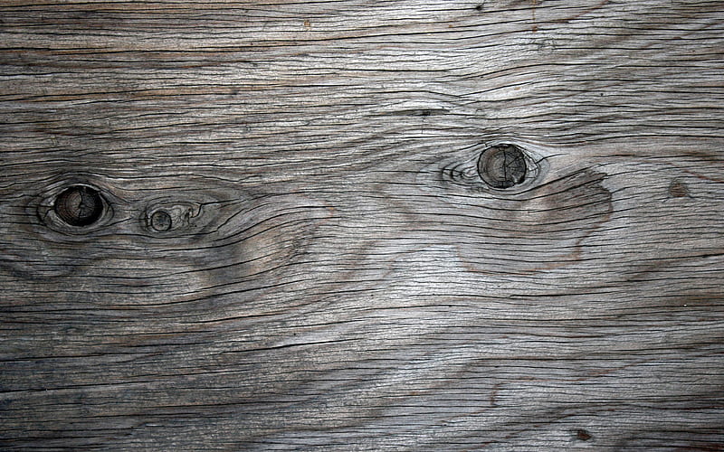 gray wooden texture wooden backgrounds, wooden textures, gray backgrounds, macro, gray wood, gray wooden board, HD wallpaper