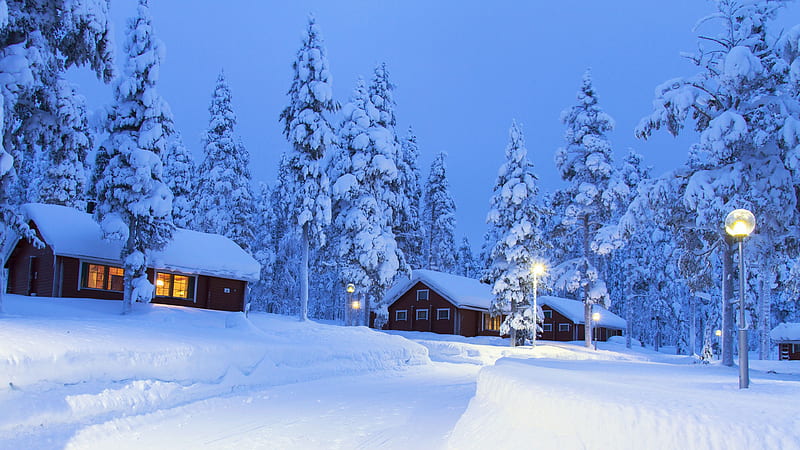 Lapland region, Finland, trees, cabins, snow, lights, HD wallpaper