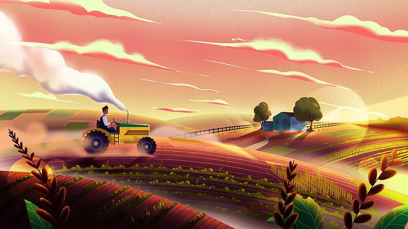 tractor, field, art, agriculture, HD wallpaper