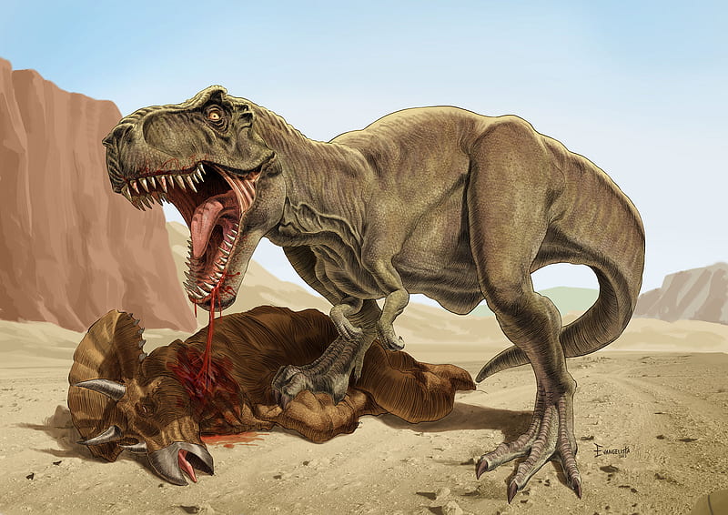 Animal, Dinosaur, Triceratops, Tyrannosaurus Rex, HD wallpaper