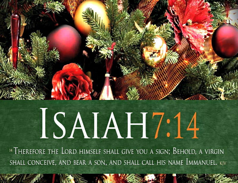 Isaiah 7:14 KJV, Bible, Flowers, Isaiah, Nature, HD wallpaper