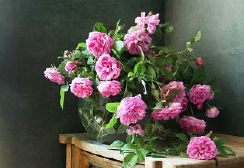 Pink roses in vase, vase, roses, still lfe, sprig, smell, flowers, nature, petals, pink, natural, HD wallpaper
