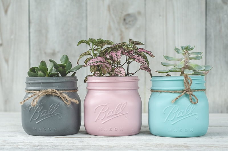 *Painted Mason jars*, graphy, plants, crafting, flowers, mason, painted, small, jars, HD wallpaper