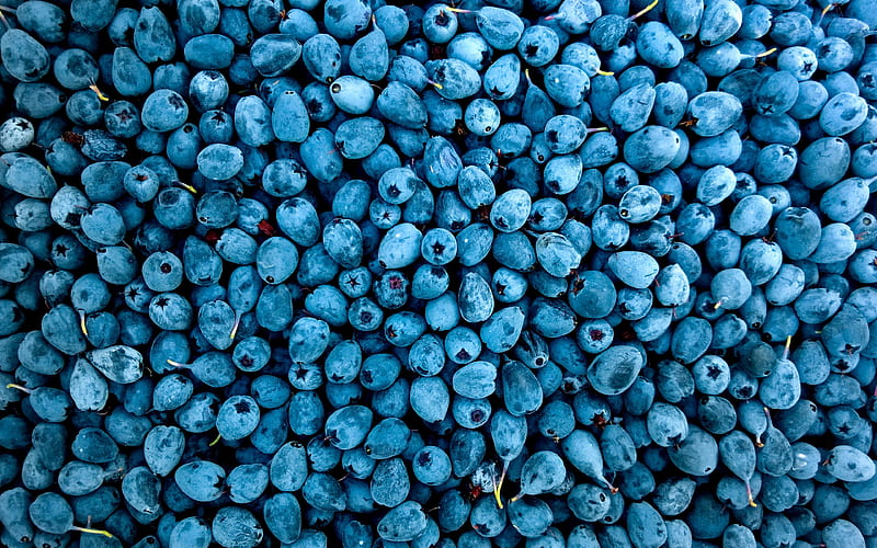 blueberry macro, fresh fruits, berries, blueberries, fruits, HD wallpaper
