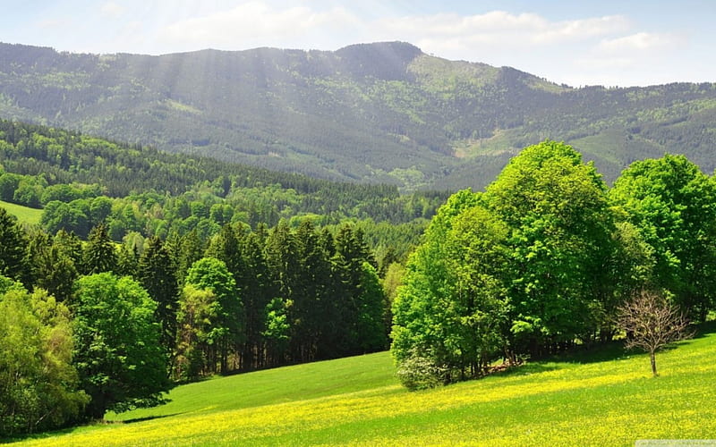 Spring Mountain, mountain, spring, trees, green, HD wallpaper Spring Mountain, mountain, spring, trees, green, HD wallpaper