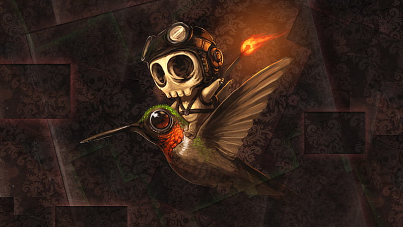 Humming Bird, cute, fire, skeleton, pilot, matches, kawii, skull, HD wallpaper