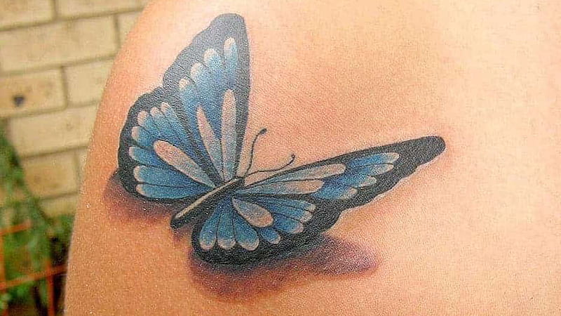 10 Best Butterfly Tattoo Arm Ideas That Will Blow Your Mind 