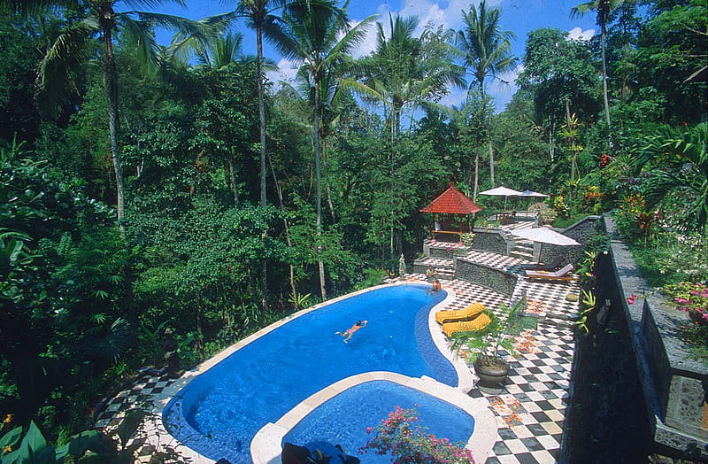 Gianyar-Gubahbali-Pool-panorama, forest, ubud, nature, indonesian, bali, HD wallpaper