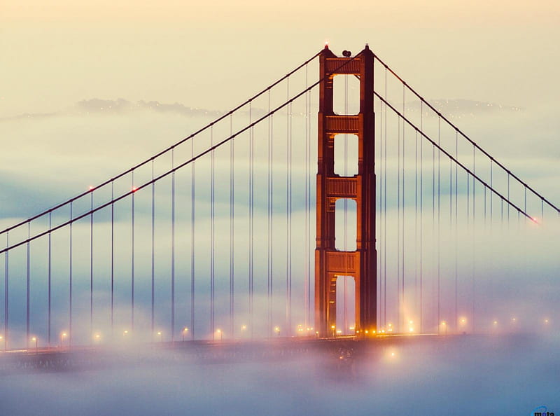 Golden Gate Bridge in dense fog, gate, dense, bridge, golden, fog, HD wallpaper