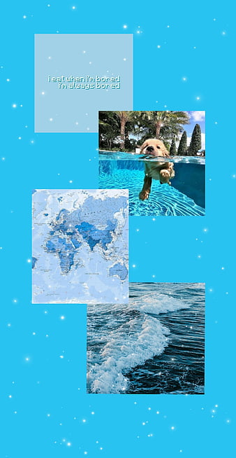 Download Golden Retriever Dog Aesthetic Wallpaper  Wallpaperscom