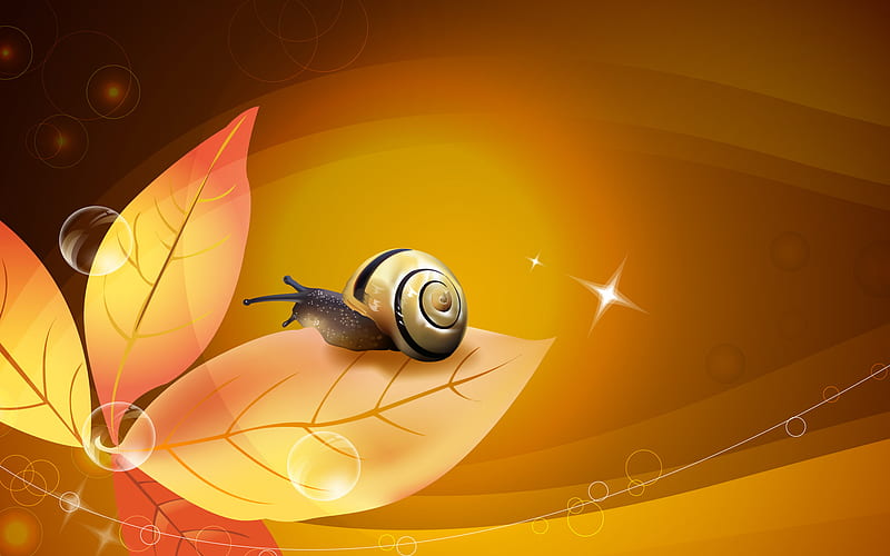 flower snail, flower, cute, nature, snail, HD wallpaper
