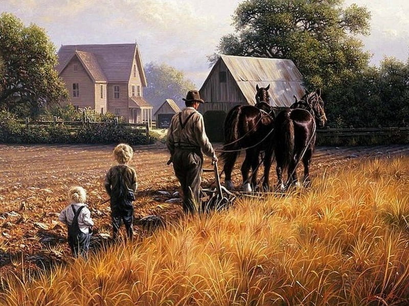 NO JOHN DEER !, farm, family, country life, field, HD wallpaper